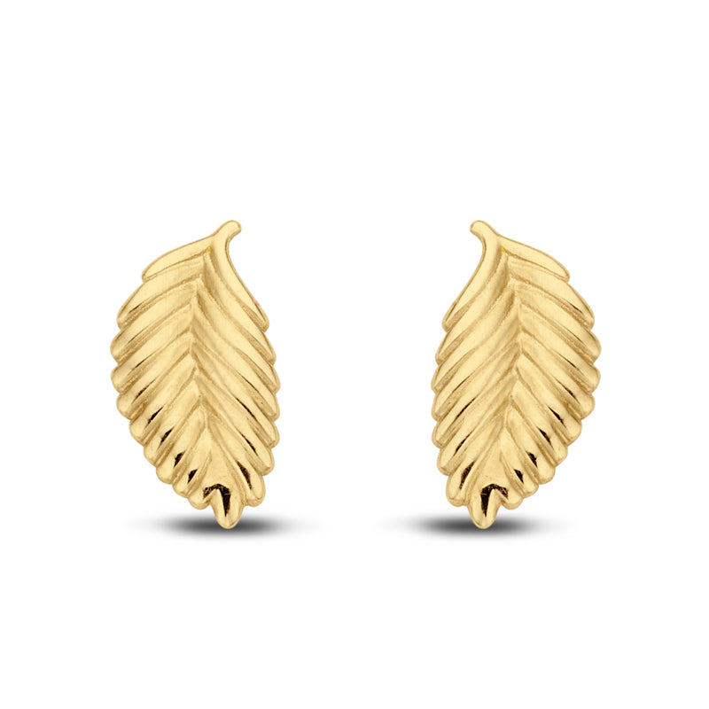 Ohrstecker Feder Gold 585/000