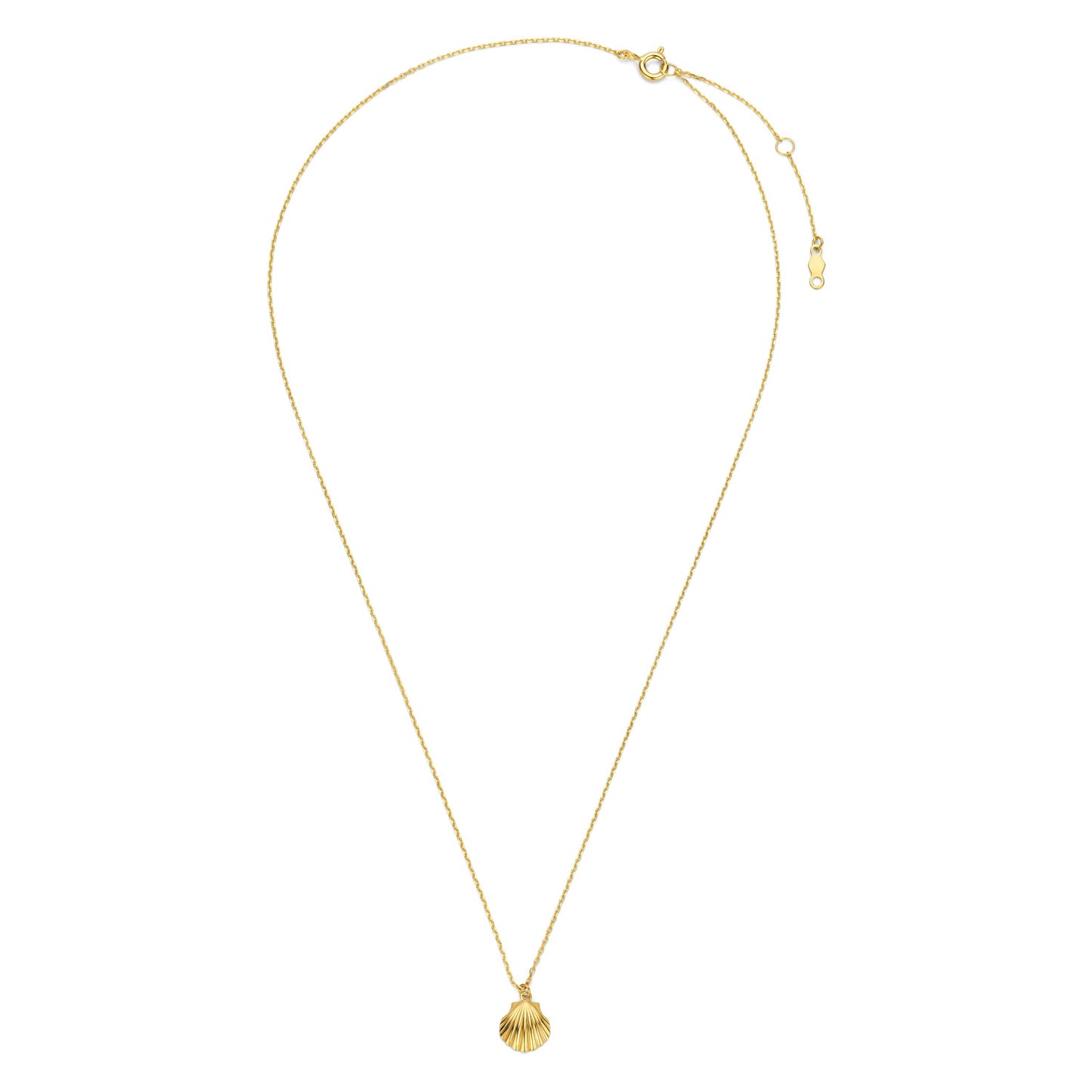 Collier mit Anhänger Muschel Gold 585/000