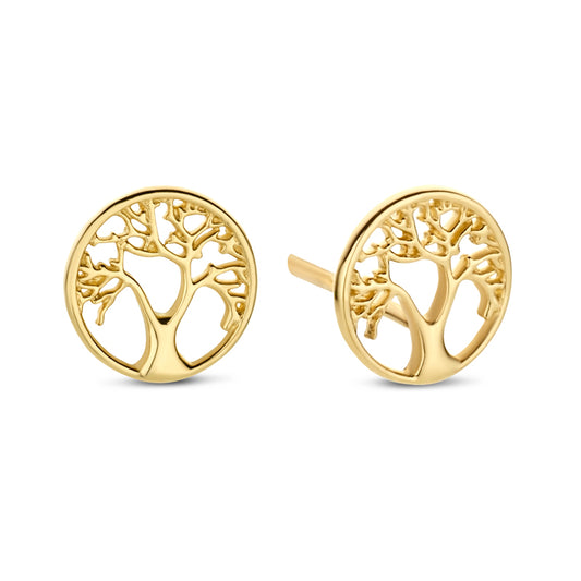 Ohrstecker Lebensbaum Gold 585/000
