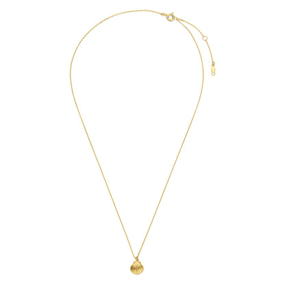 Collier mit Anhänger Muschel Gold 585/000