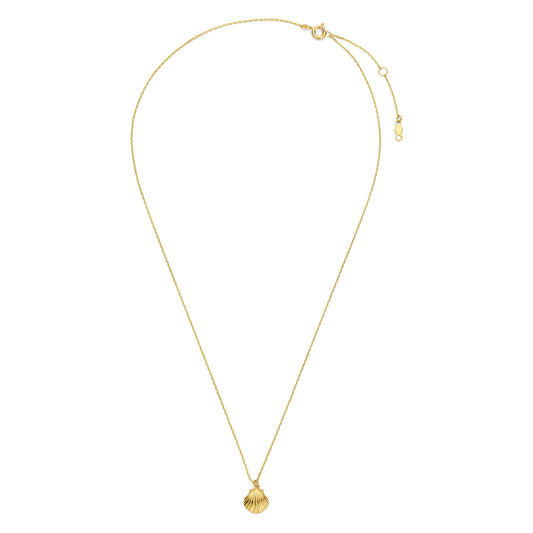 Collier mit Anhänger Muschel Gold 585/000